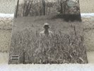 Taylor Swift Folklore 