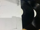 AC/DC ACDC - TASMANIAN DEVILS - Official DLP TEST PRESSING - 1/5 ONLY ON BLACK