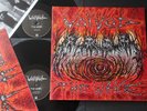 Voïvod – The Wake 2LP VINYL 1st PRESS THRASH PROGRESSIVE METAL 2018 Celtic Frost