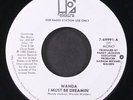 WANDA: i must be dreamin' / mono ELEKTRA 7