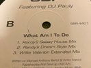 SBP Featuring DJ Pauly – What Am I To Do - FREESTYLE 12