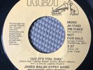 James Walsh Gypsy Band - CUZ IT’S YOU GIRL 1978 Soul 45 Mono/Stereo Promo NM
