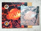Pixies Bossanova 1st UK Press with Booklet Vinyl LP 1990 12