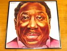 NEW SEALED BLUES LP - MUDDY WATERS - BLUE SKY 34928 - 