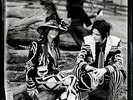 The White Stripes - Icky Thump - Vinyl - Same Day Dispatch