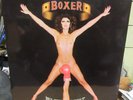 BOXER U.K. IMPORT RECORD 