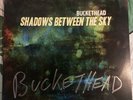 Buckethead Shadows Between The Sky Signed Vinyl Record Numbered