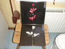 Depeche Mode Violator vinyl 1st Press Germany 1990