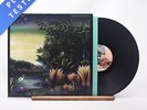 Fleetwood Mac - Tango In The Night - LP Vinyl Record - EX/VG+