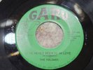 THE VOLUMES   I've Never Been So In Love / I'm Gonna Miss You   Garu 45