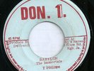 The Immortals Reggae Dub 45 7