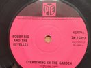 VINYL BOBBY RIO THE REVELLES Everything In The Garden PYE 7N15897 UK 7