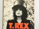 T Rex  The Slider