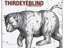 Third Eye Blind - Ursa Major LP NEW
