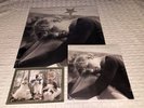 Taylor Swift Cardigan + Songwriting Voice Memo 7 & 12” Vinyl & Fearless 3 LP