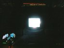 Emeralds - Does It Look Like I'm Here? 2LP NEW COLOR VINYL