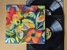 Adrianne Lenker Songs And Instrumentals LP 12