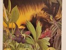 Lonnie Liston Smith Loveland 1978 Vinyl LP Album CBS 82837
