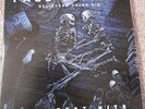 Fall Out Boy - Believers Never Die - Greatest Hits Vinyl