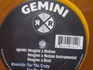 Gemini Imagine a Nation/For the Crazy (Vinyl) 12