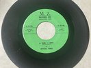 Crystal Tones 1959 WHITE DOO WOP 45 A Girl I Love / Debra Lee M.Z. Orig VG+ HEAR
