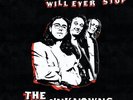 THE UNKNOWNS: NOTHING WILL EVER STOP - LP vinyl