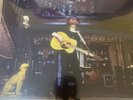 RICHARD THOMPSON Henry The Human Fly Heavyweight Vinyl -Exclusive Signed Print