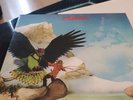Budgie Never Turn Your Back On A Friend Vinyl