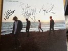 Charlatans Modern Nature Limited Edition Vinyl Signed By Band