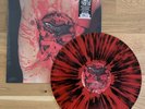 Dismember - Indecent And Obscene Vinyl colored splatter LP Ltd 500