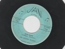 ROCKABILLY  SURF INSTROS 45 -  ROCKIN' FLAMES -  SHIM SHAM - HEAR - 1960 MO. JAN