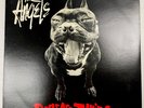 The Angels Dogs Are Talking Vinyl Record 7” 45 RPM K10015 Mushroom 1990 Original
