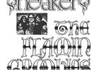 The Flamin' Groovies Sneakers - Red (Vinyl)