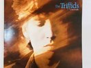 THE TRIFFIDS - 