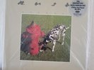 Signals by Rush (Record, 2015)