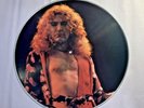 Robert Plant Led Zeppelin Vinyl  Picture Record Disc Central Park 69