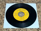 Beach Bums - Florida Time / Ballad of the Yellow Beret  1966 EARLY SEGER RARE