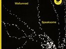 Christian Wallumrod - Speaksome (Vinyl LP - 2021 - EU - Original)
