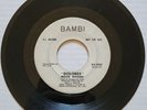 THE MOOD MAKERS - DOLORES/DREAM A DREAM on BAMBI RECORDS