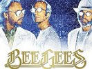 Bee Gees - Timeless - The All-time Greatest Hits [New Vinyl LP] 180 Gram