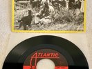 BUFFALO SPRINGFIELD 