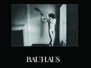 Bauhaus IN THE FLAT FIELD (652637290103) New Limited Bronze Colored Vinyl LP