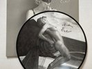 MADONNA-Erotica-USA Promo Picture Disc-Original 1992-