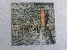 Vinyl 12