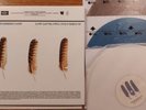 The Appleseed Cast Low Level Owl Vol I + II Vinyl 3xLP Band Excl /100 New