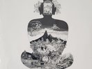 Satori by Flower Travellin Band (Record LP, 2021 Reissue)