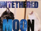 Untethered Moon by Built to Spill (Record, 2015)