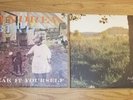 Andrew Bird Break it Yourself & Noble Beast 4 Vinyl Records 2x 2 LP Sets