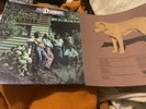 oz lp the dingoes self titled 1974 vinyl record 70s 1st issue