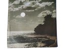 Echo And The Bunnymen The Killing Moon